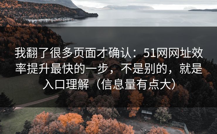 我翻了很多页面才确认：51网网址效率提升最快的一步，不是别的，就是入口理解（信息量有点大）